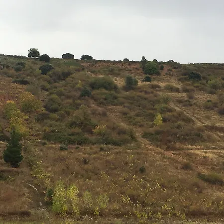 ゲストハウス Nruta Ponferrada 2*